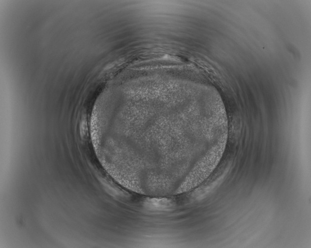 X0000112060137200909011010