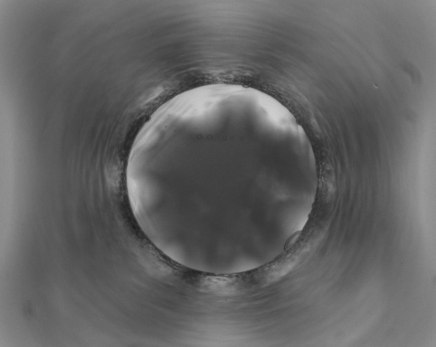 X0000112060139200909011010