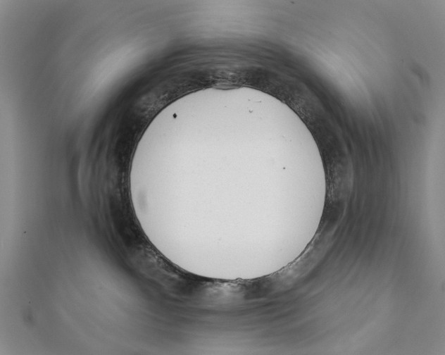 X0000112060140200909011010