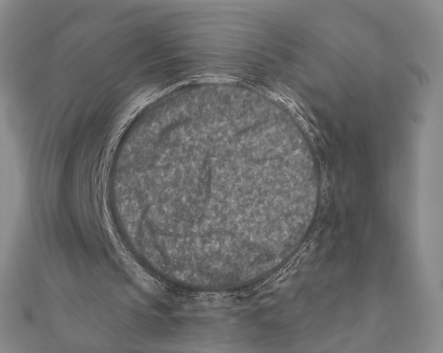 X0000112060145200909011009