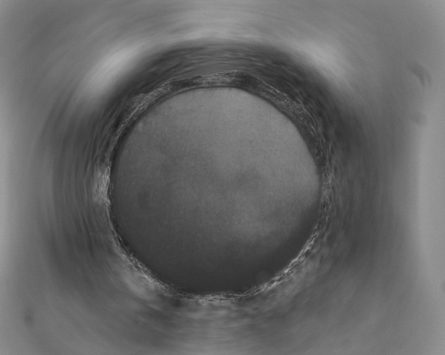 X0000112060146200909011009