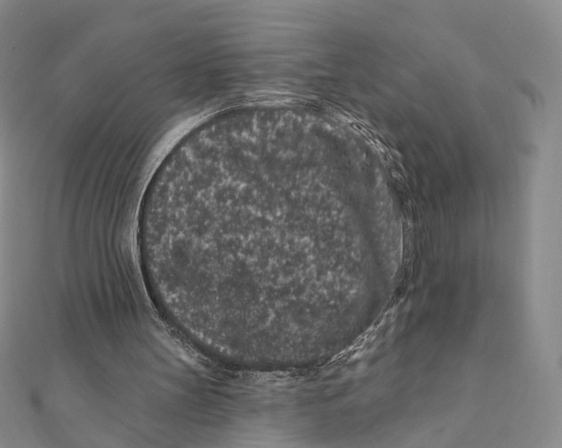 X0000112060147200909011009