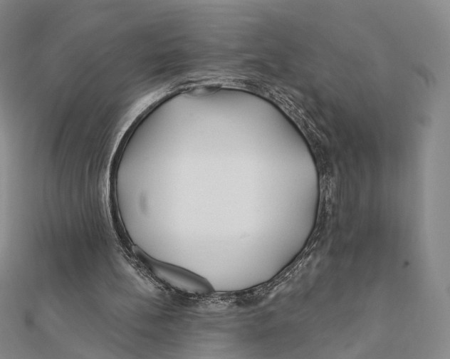 X0000112060148200909011009