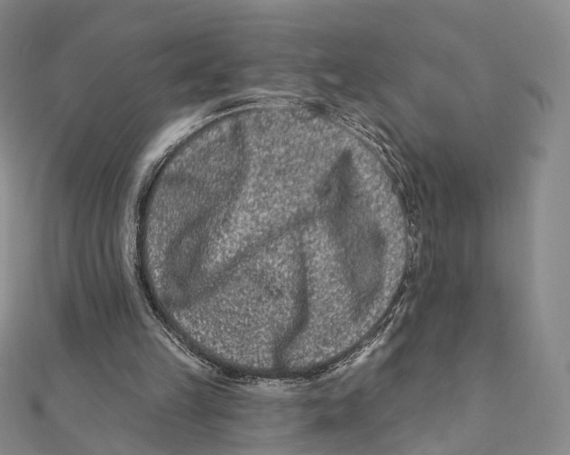 X0000112060149200909011009