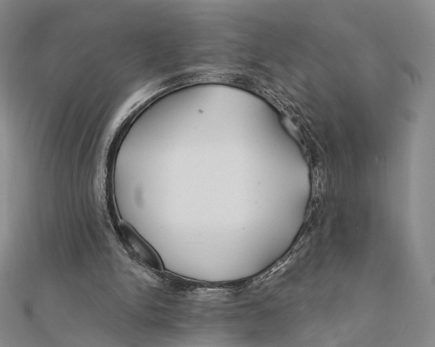 X0000112060150200909011009