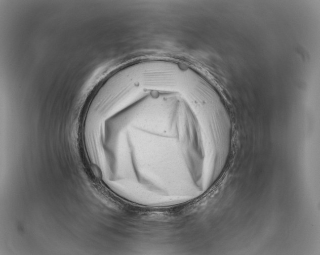 X0000112060151200909011009