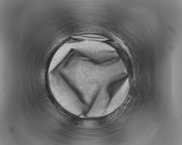 X0000112060154200909011009