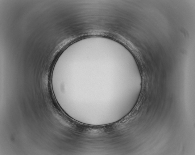 X0000112060155200909011009