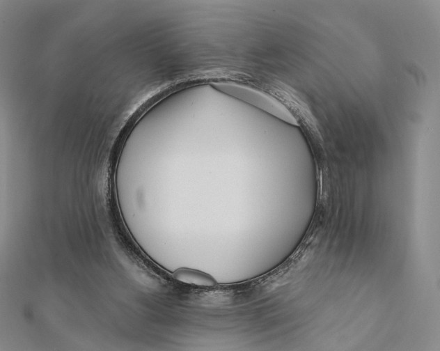 X0000112060156200909011009