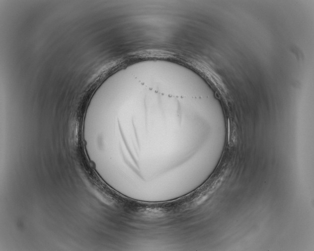 X0000112060157200909011009