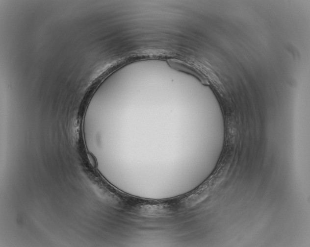 X0000112060160200909011009