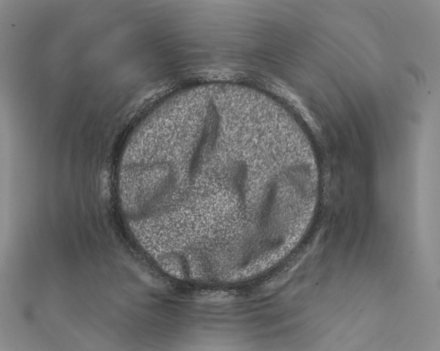 X0000112060161200909011009