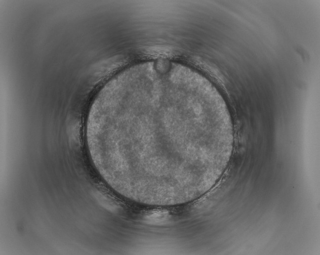 X0000112060162200909011009