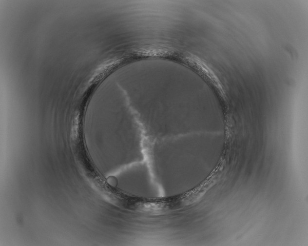 X0000112060163200909011009