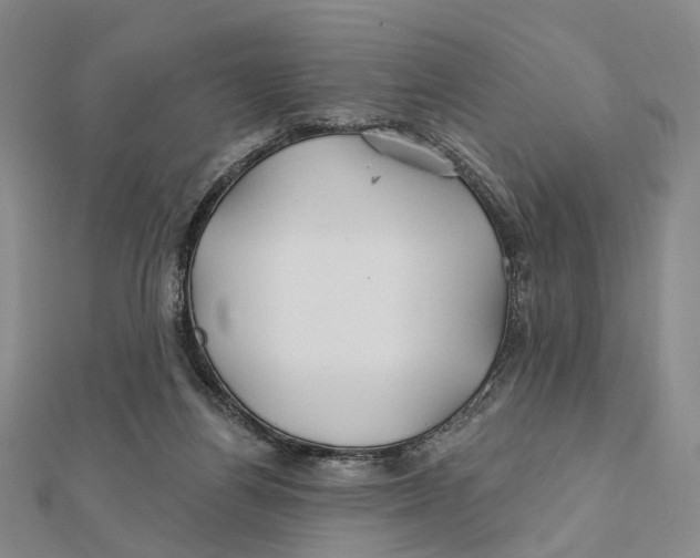 X0000112060164200909011009