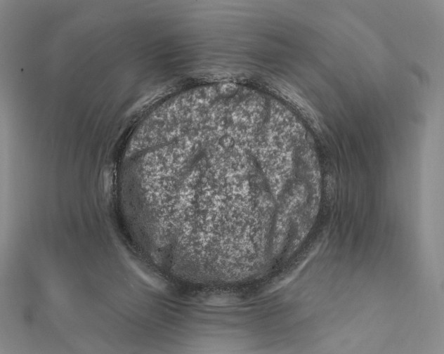 X0000112060165200909011009