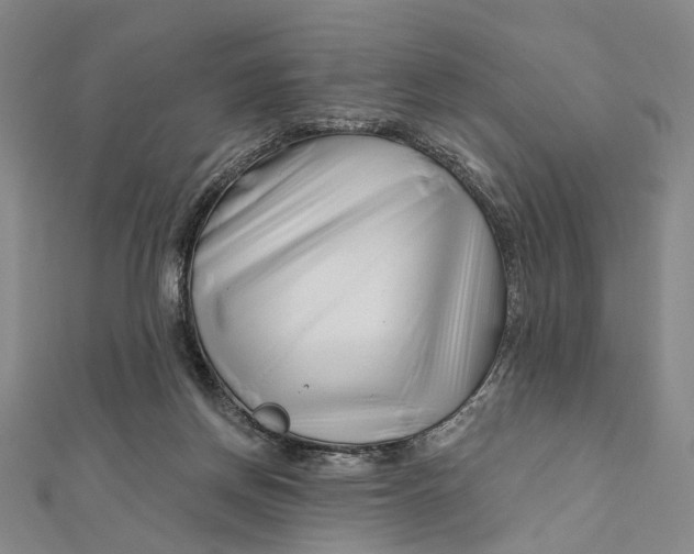 X0000112060166200909011009