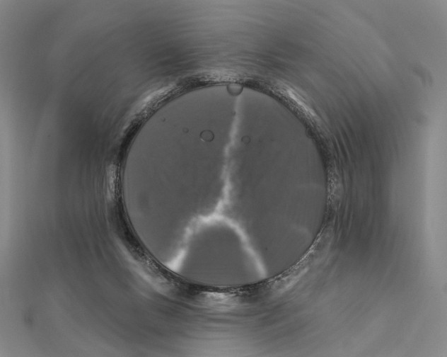 X0000112060167200909011009