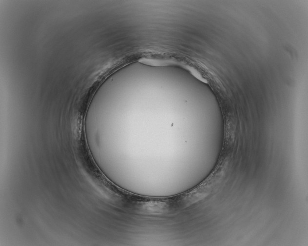 X0000112060168200909011010