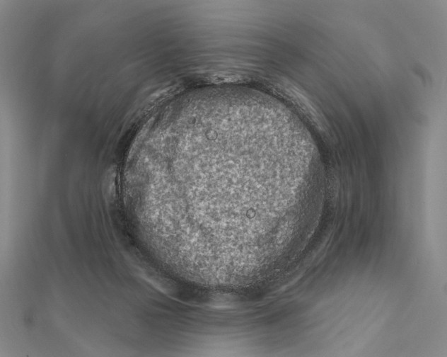 X0000112060169200909011010