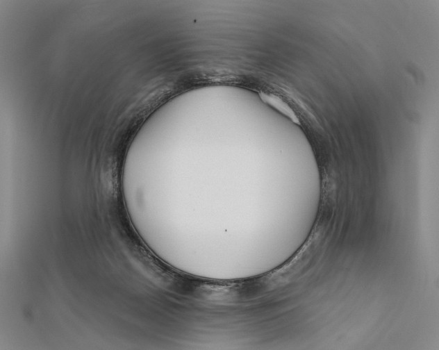 X0000112060170200909011010