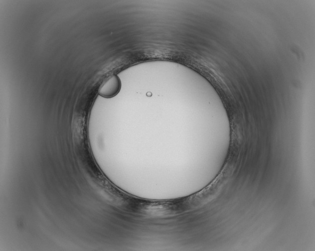X0000112060171200909011010