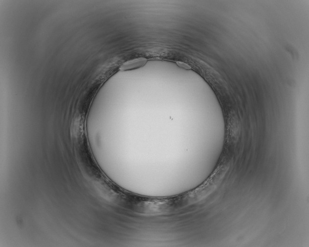 X0000112060172200909011010