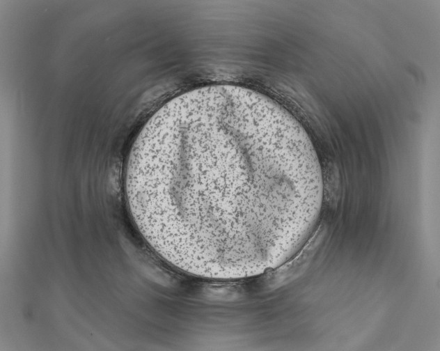 X0000112060175200909011010