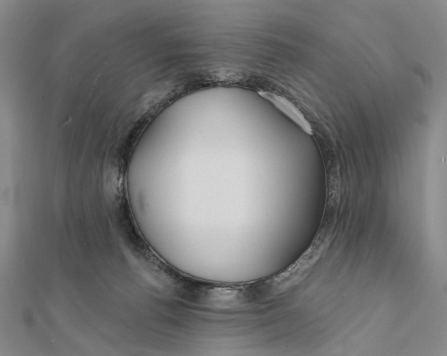 X0000112060176200909011010