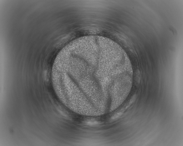 X0000112060177200909011010