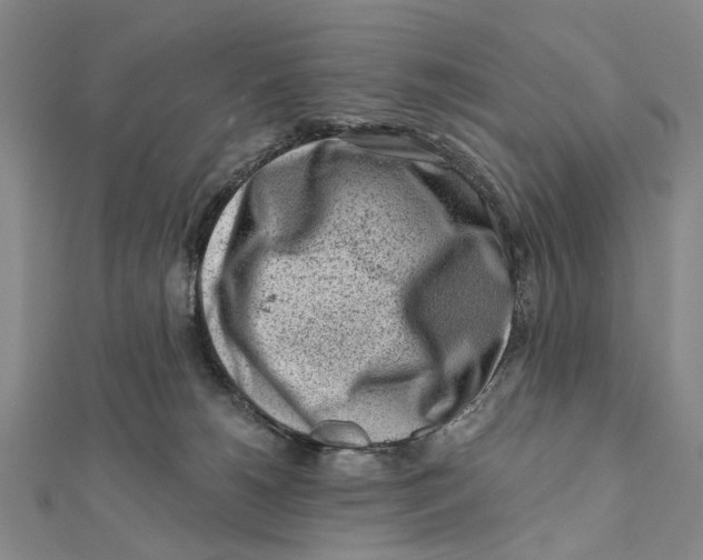 X0000112060180200909011010
