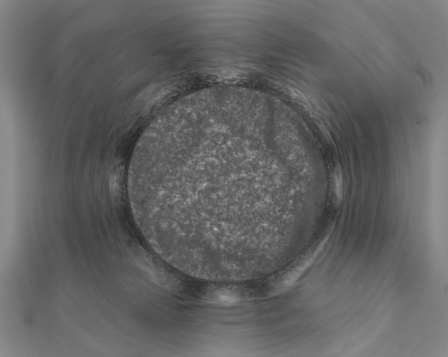 X0000112060181200909011010
