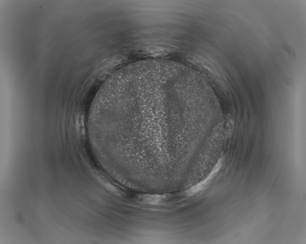 X0000112060182200909011010