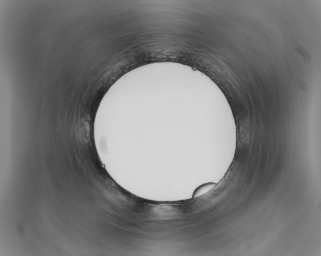 X0000112060183200909011010