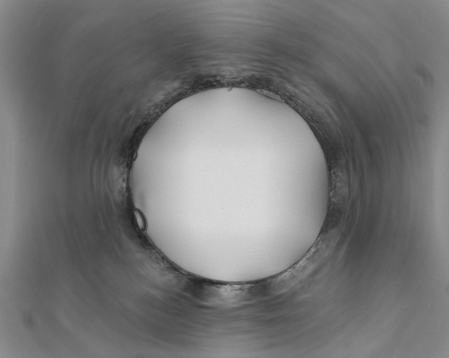 X0000112060184200909011010