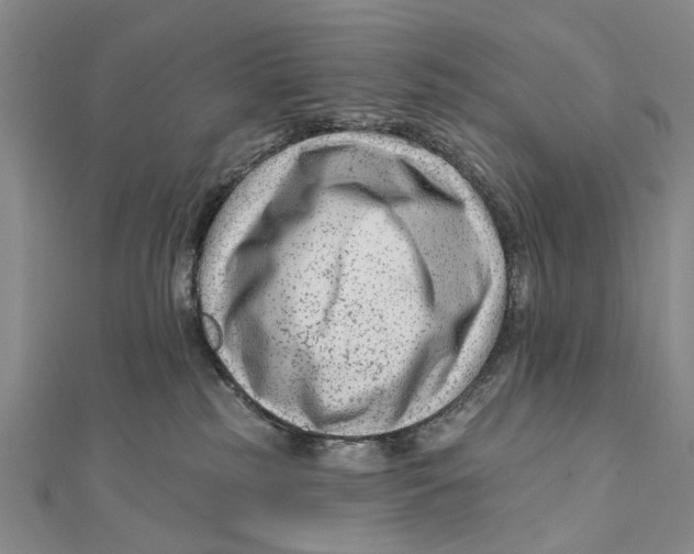 X0000112060185200909011010