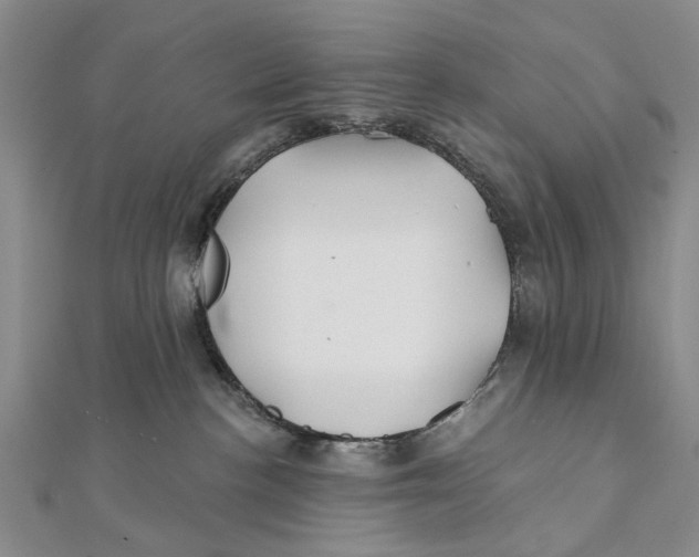 X0000112060188200909011010