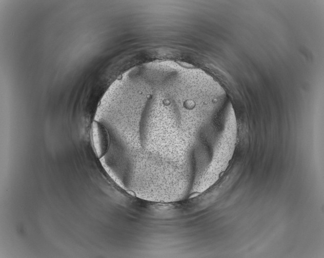 X0000112060189200909011010