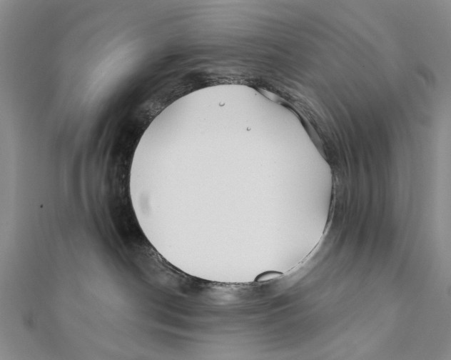 X0000112060190200909011010