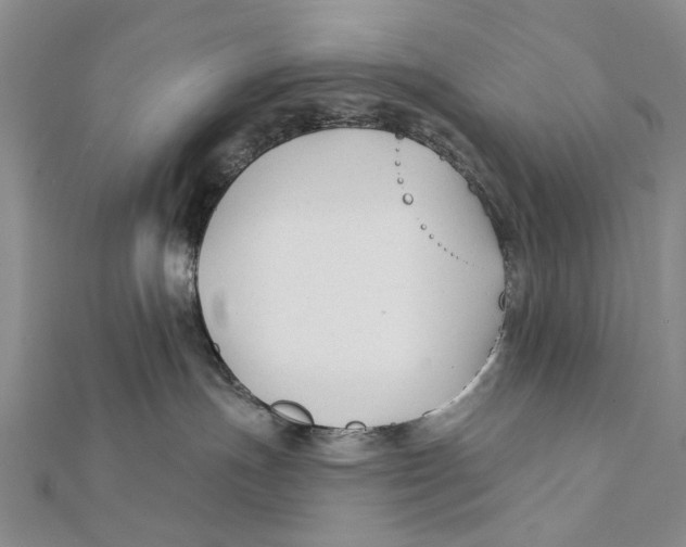X0000112060191200909011010
