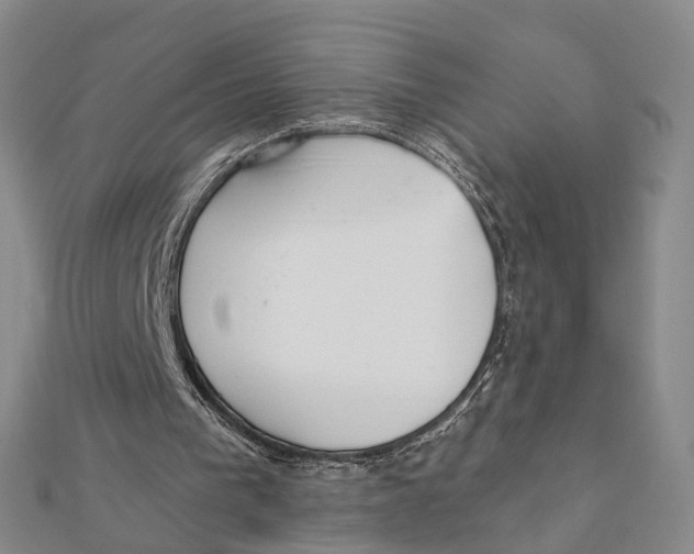X0000112060193200909011009