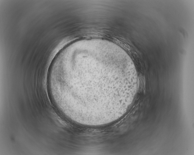 X0000112060195200909011009