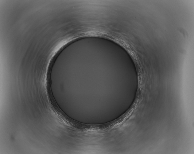 X0000112060196200909011009