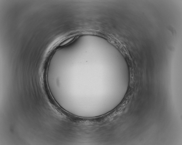 X0000112060197200909011009