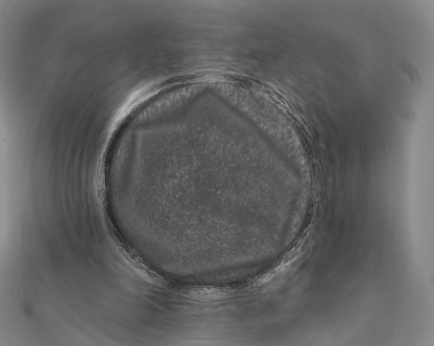 X0000112060198200909011009