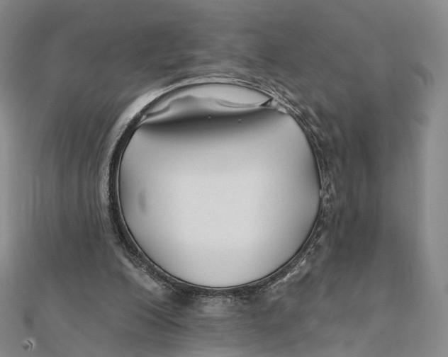 X0000112060200200909011009
