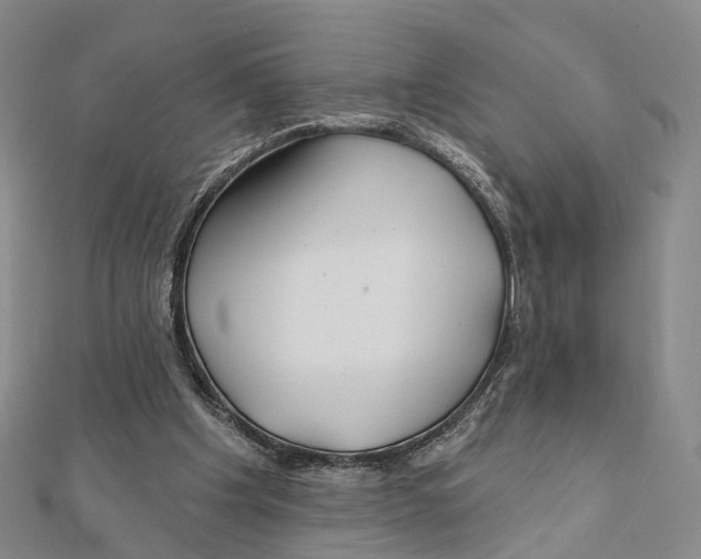 X0000112060201200909011009