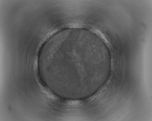 X0000112060202200909011009