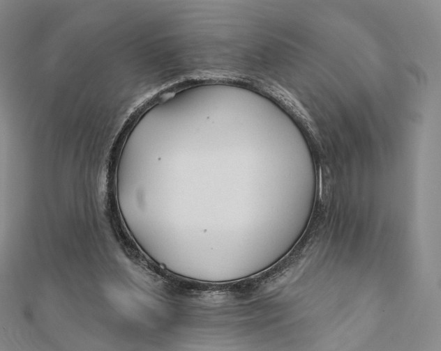 X0000112060204200909011009