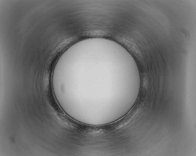 X0000112060206200909011009